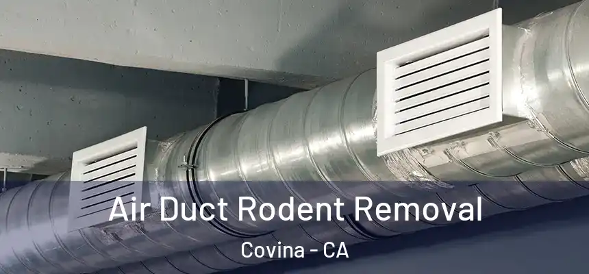  Air Duct Rodent Removal Covina - CA