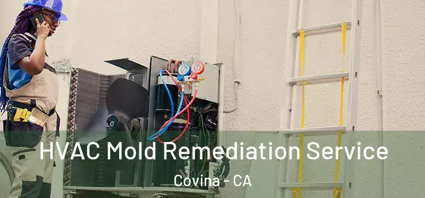  HVAC Mold Remediation Service Covina - CA