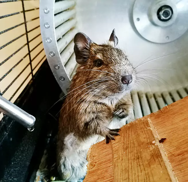 Why Homeowners & Businesses Trust Us Covina, CA