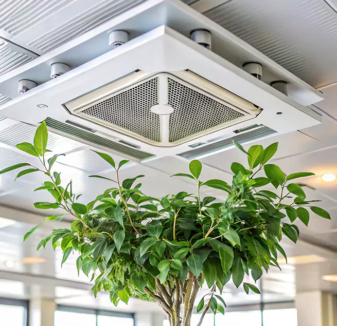 Why Homeowners & Businesses Trust Us in Covina, CA